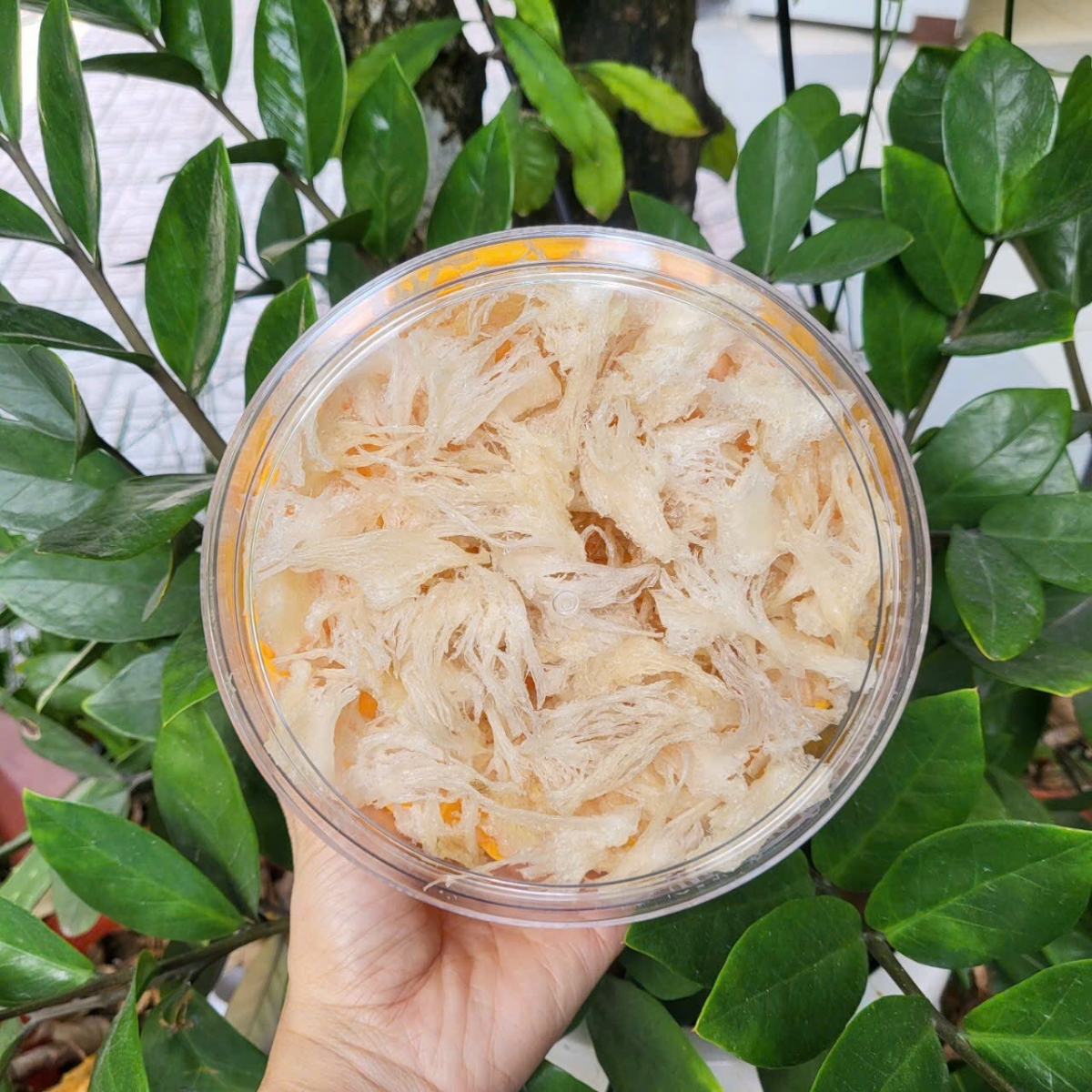 Chân yến thô rút lông 100gr