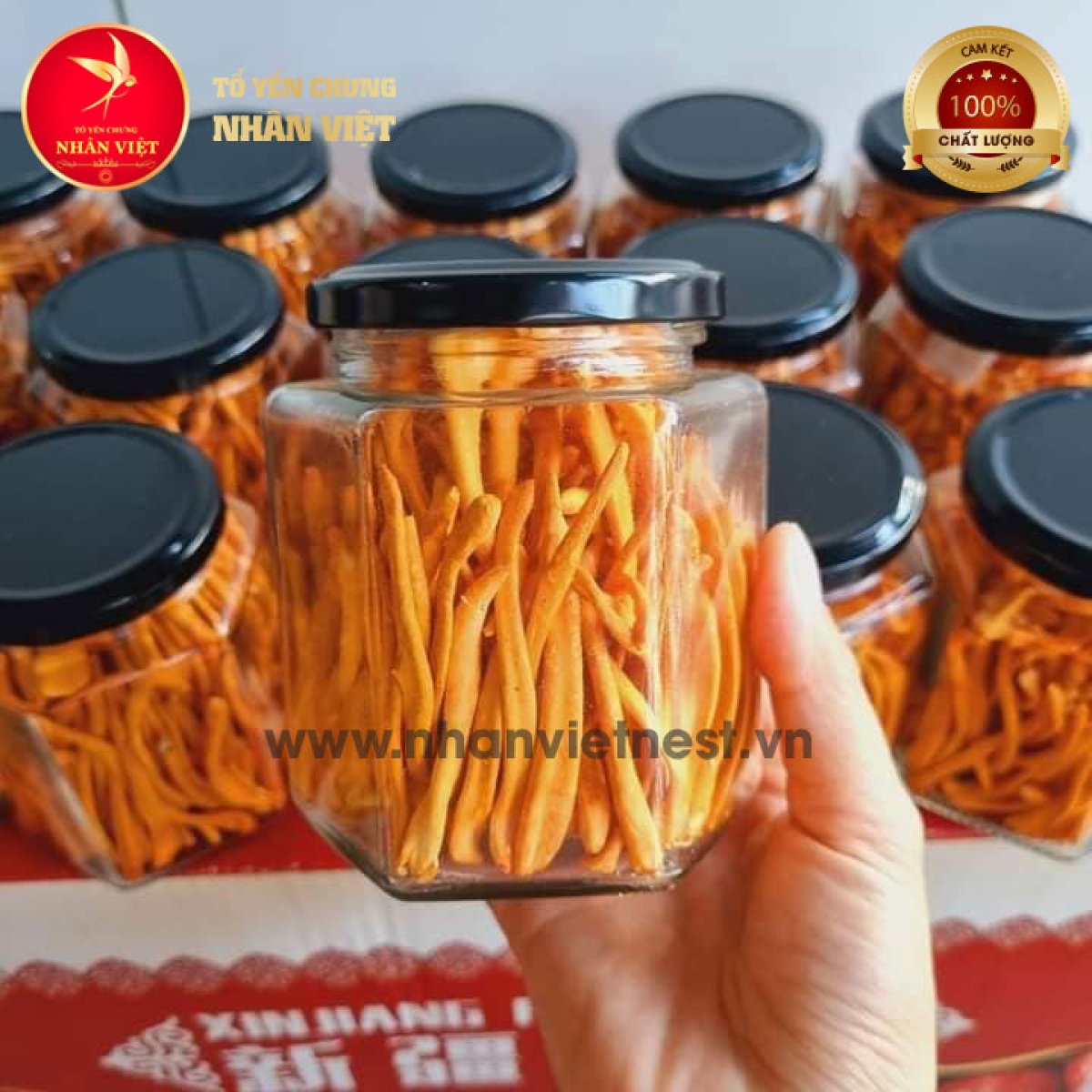 Đông Trùng Hạ Thảo Sấy Thăng Hoa LOẠI 1 THƯỢNG HẠNG - Hũ 50Gr