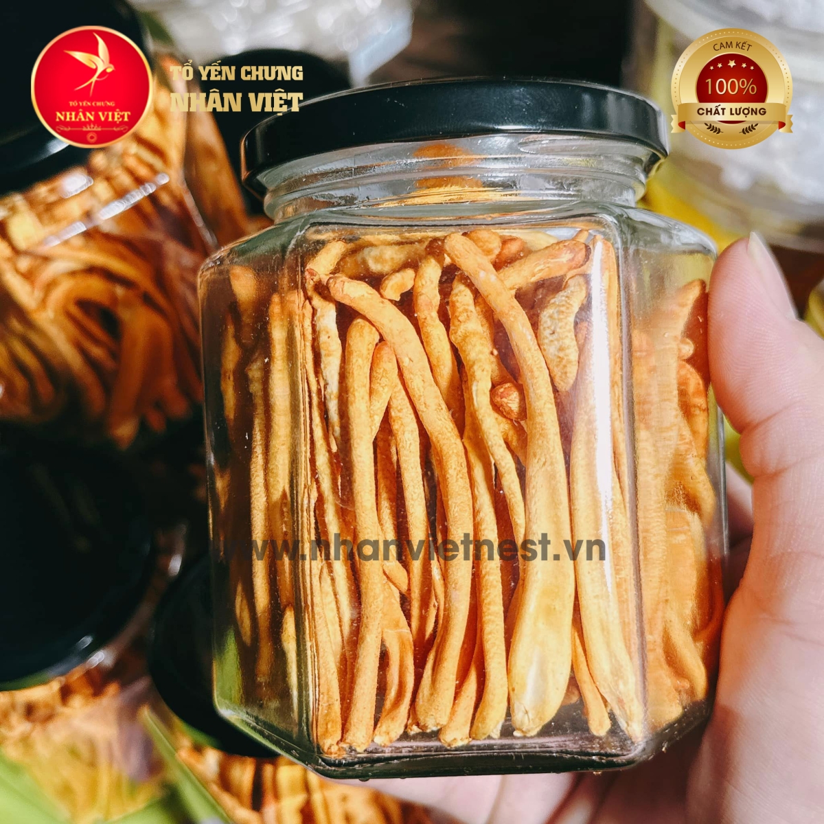 Đông Trùng Hạ Thảo Sấy Thăng Hoa LOẠI 1 THƯỢNG HẠNG - Hũ 20Gr
